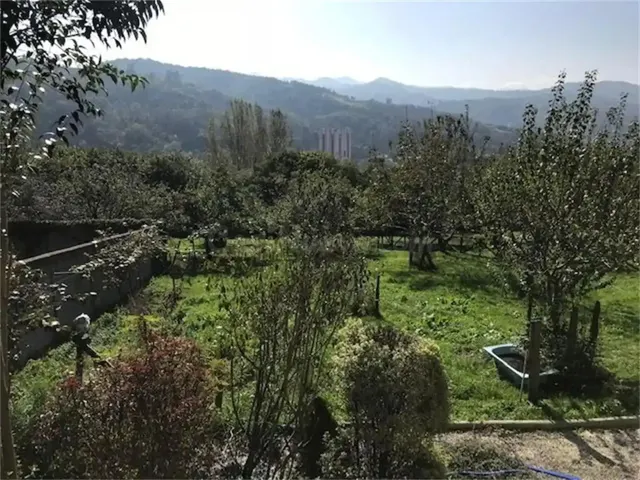 Encanto asturiano: casa con hórreo, cochera y finca edificab