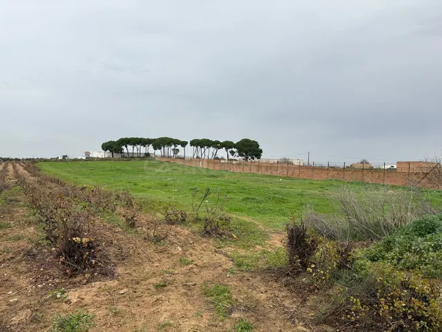 Solar en venta - Andalucia - foto 4