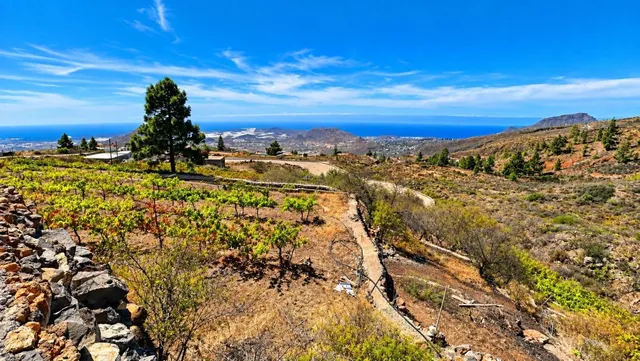 Finca exclusiva en Vilaflor · 2 viviendas, viñedo, bodega y piscina — 79