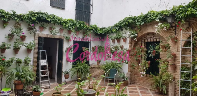 MAGNIFICA CASA EN CASCO HISTORICO PARA REHABILITAR IDEAL PARA INVERSORES — 6