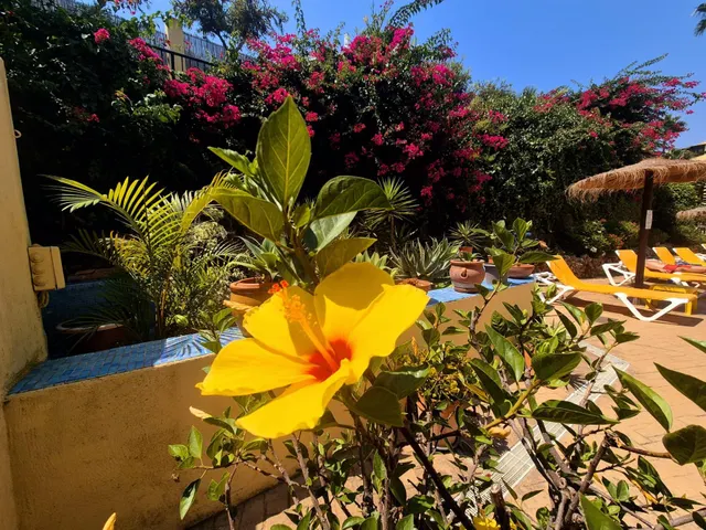 Riviera del Sol - Ático, 2 Dormitorios, Terraza, Piscina y Jardín — 43