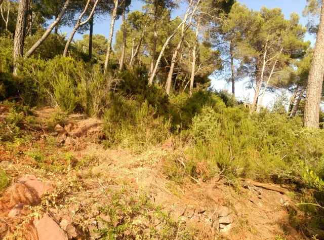 Espectacular terreno que da a dos calles, en Corbera de Llobregat, cerca Hotel Can Fisa. — 16