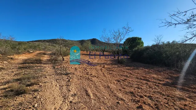 GRAN TERRENO JUNTO A LOS ALTOS DE LAS PALAS – REF. 2112 — 7