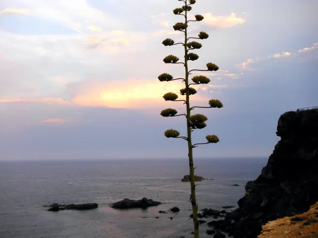 CHALET INDEPENDIENTE CON VISTAS AL MAR MEDITERRANEO — 26