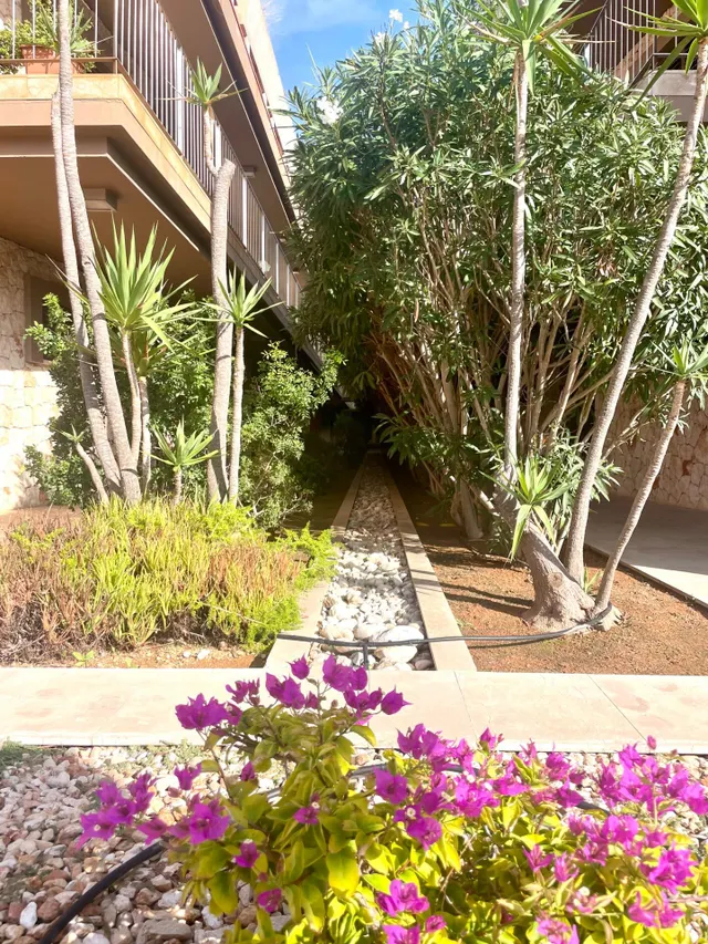 Ático Dúplex Exclusivo con 3 Terrazas, 2 Piscinas y Amplios  - foto 2