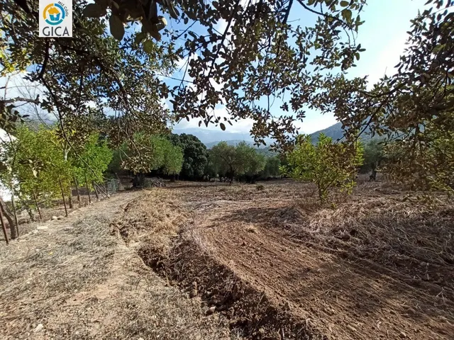 CASA CON PARCELA  EN LA SIERRA DE CADIZ -EL BOSQUE — 46