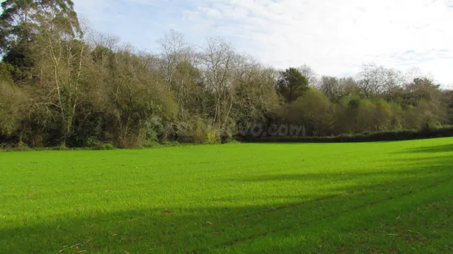 Venta de parcela rústica en Ruiloba - foto 4