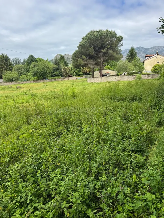 TERRENO URBANIZABLE EN LA MORCA, ARRIONDAS - foto 3