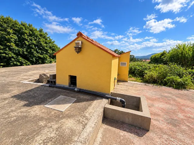 FINCA RÚSTICA CON VIVIENDA EN EL PALMITAL, STA. MARÍA DE GUÍA — 11