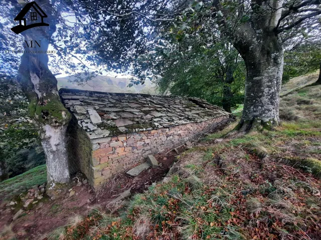 AMPLIA CABAÑA PASIEGA CON FINCA PRIVADA PARA REFORMAR EN SEL - foto 4