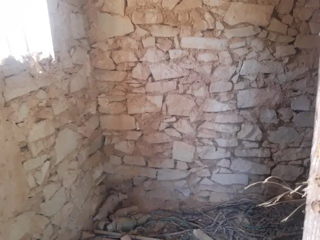 Se vende terreno de 16000 metros — 4