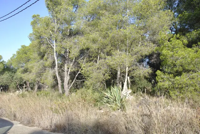 Parcela Rústica en el municipio de Cubelles, 5.560 mts2 Corral d'en Cona — 12
