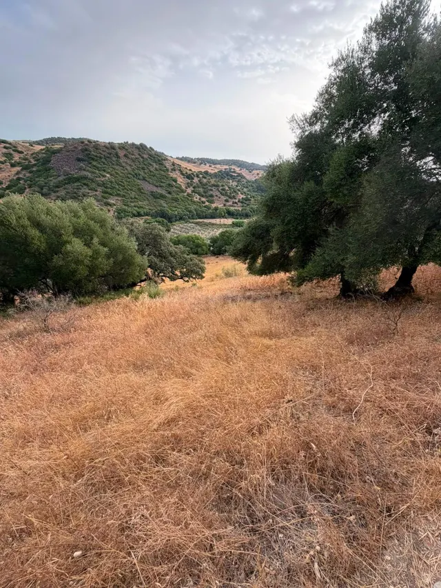 Terreno Rústico de 35 fanegas en FINCA LA SERENA! — 12