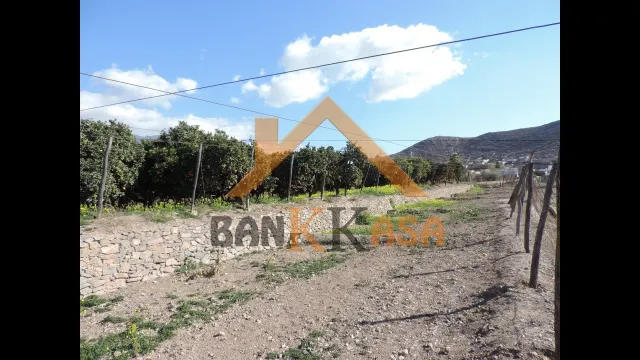 SE VENDE TERRERENO RURAL EN BERJA CON CORTIJO — 25