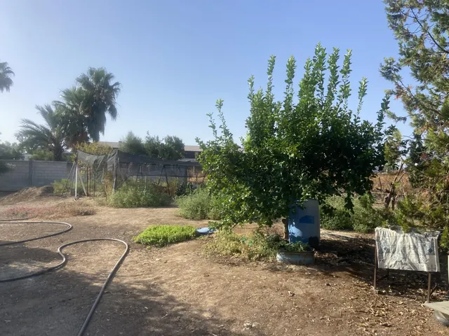 D. Parcela Rústica en Urbanización Los Eucaliptos - Porrillas (Alcolea) — 23