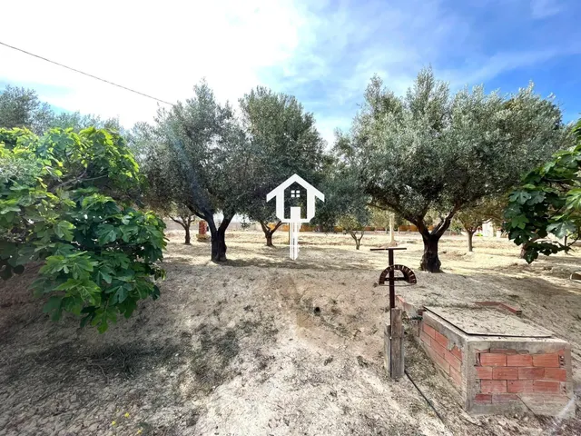 Casa adosada independiente en venta en el Rebolledo, elche. 3000m2 de parcela y 120 m2 de vivienda — 50