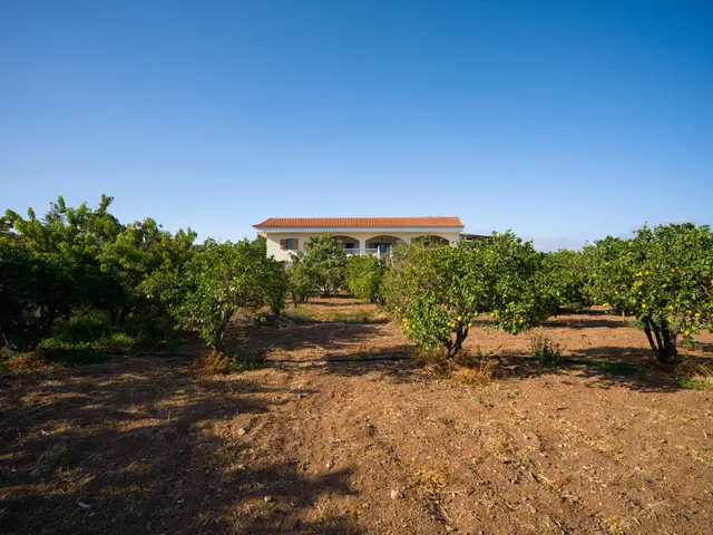 Finca rústica con amplia vivienda y azotea en Las Mejías – Ingenio, Gran Canaria — 31