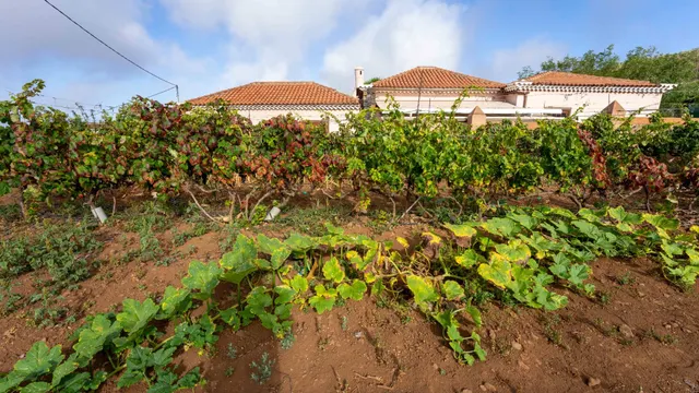 Terreno urbano en Tacoronte. — 9