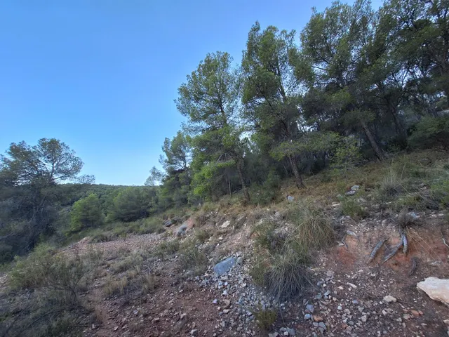 Finca rústica forestal en venta con vistas panoramicas · Castalla (Alicante) — 16