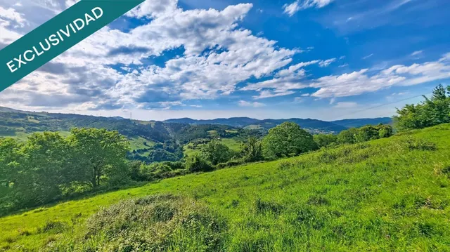 Más de una hectárea de Asturias, una cabaña de piedra y todo el valle por delante. — 15