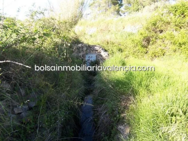 Terreno rural 8000m² en venta - La Raiosa — 7