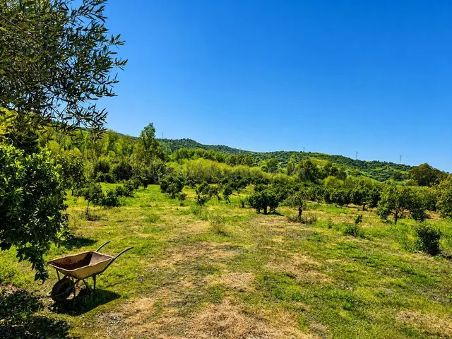 Parcela 79m² en venta - San martin del tesorillo - foto 4
