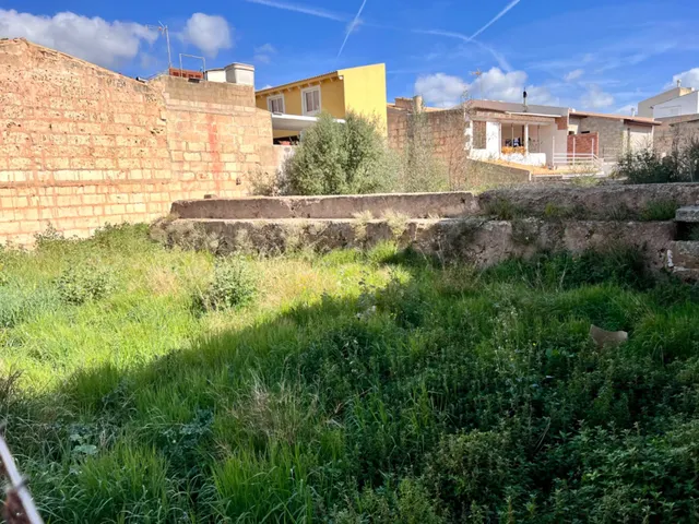 Solar en Sa Pobla — 4
