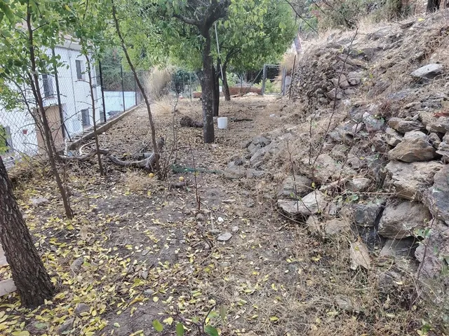 Casa de pueblo en Venta en Algatocin Málaga - foto 3