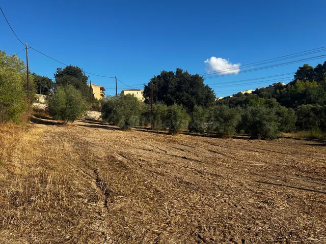 Finca rústica Campanet