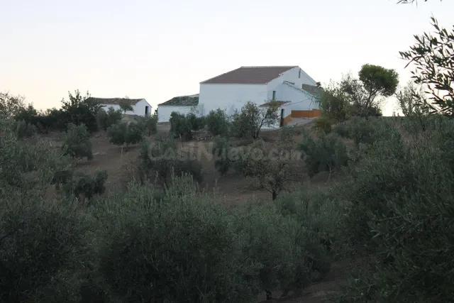 SE VENDE FINCA CON CORTIJO - foto 2