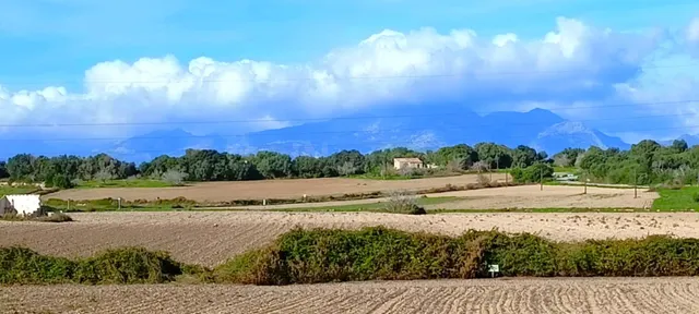 Finca rústica con vistas a la Serra de Tramuntana en Muro