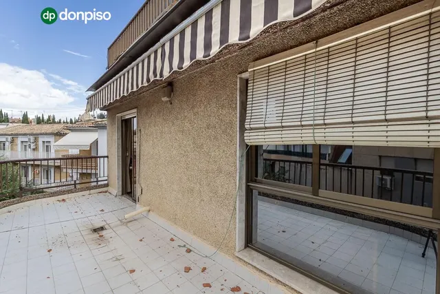 Pisazo en paseo del salón - Granada — 33