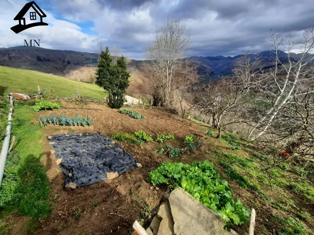 VENTA DE CABAÑA Y FINCA EN SAN PEDRO DEL ROMERAL - foto 5