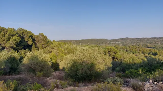 Finca Rústica en el Perello con muchas posibilidades - foto 2