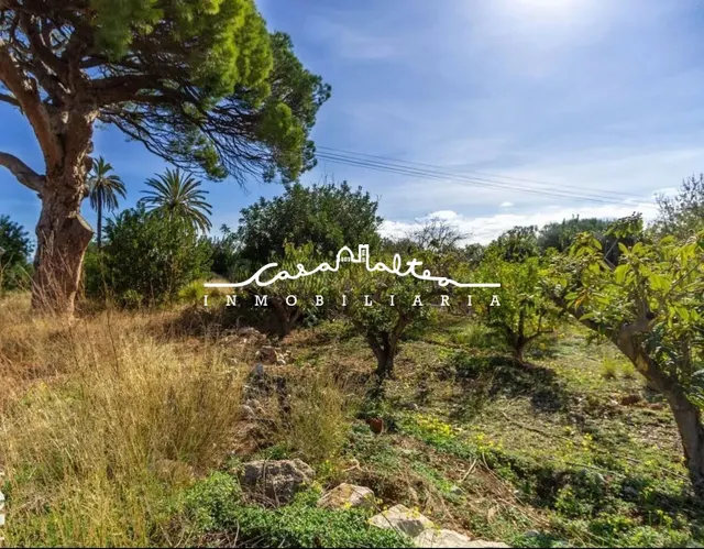 TERRENO EN VENTA EN ALTEA , EL PÍ DEL SENYORET - foto 5