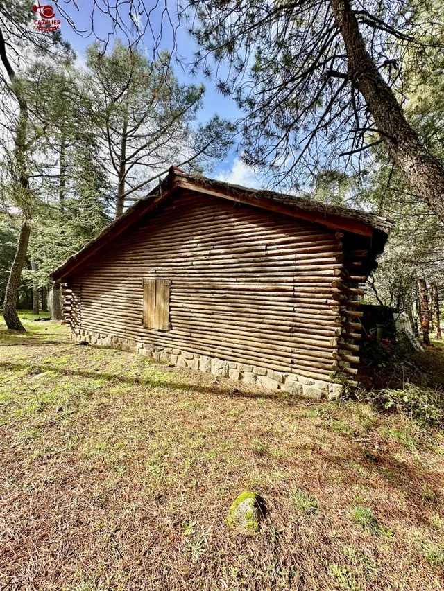 Cabaña de 75m2 rodeada de un precioso bosque en terreno urbano no consolidado de 10.117m2. — 13