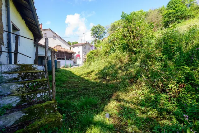 Encantadora casa independiente con jardín en el corazón de S - foto 3