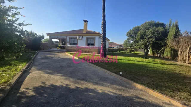 Oportunidad de Casa con Terreno en Villarrubia, Córdoba — 14