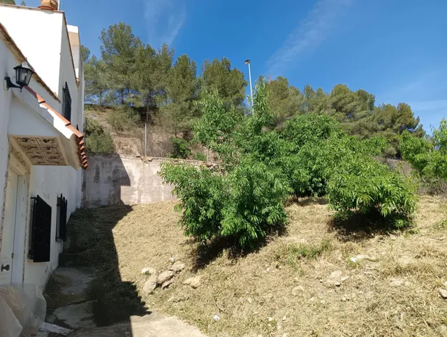 Parcela urbana en el centro de Montroy — 30