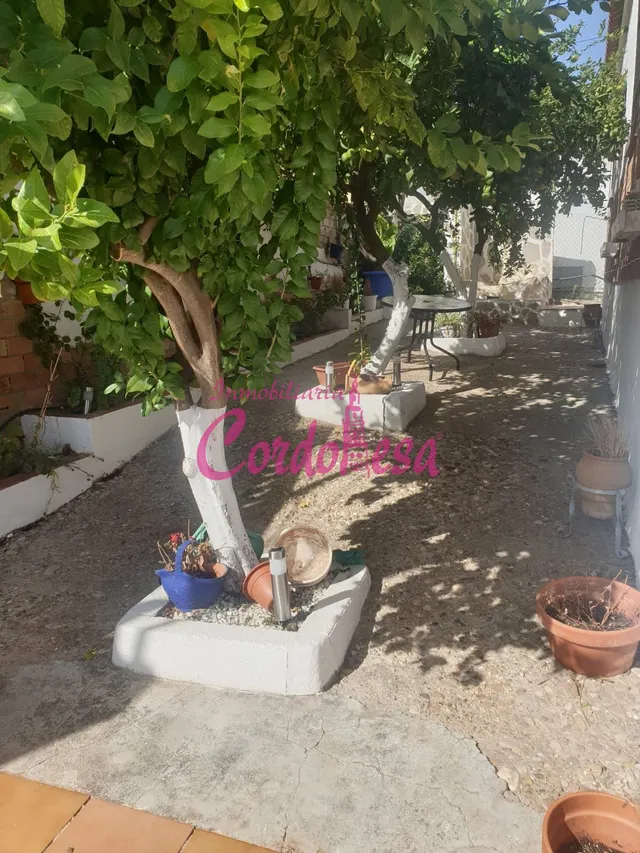 MAGNÍFICA PARCELA CON CASA EN ZONA CUEVAS BAJAS — 22