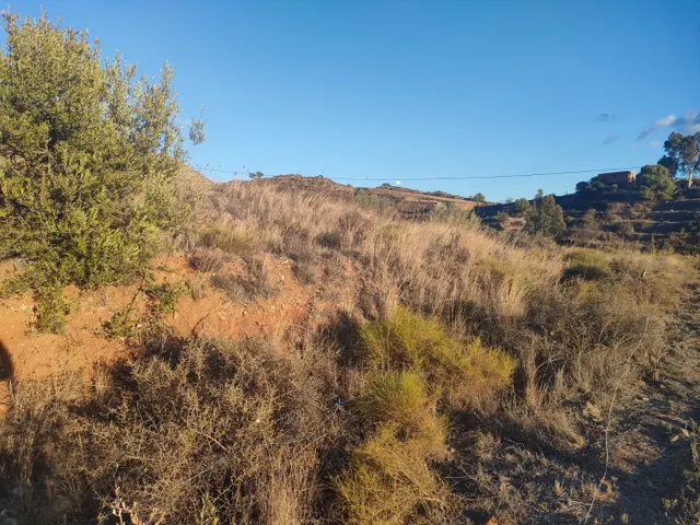 VIVIR EN LA NATURALEZA CON TODOS LOS SERVICIOS A MENOS DE 5 KM — 4