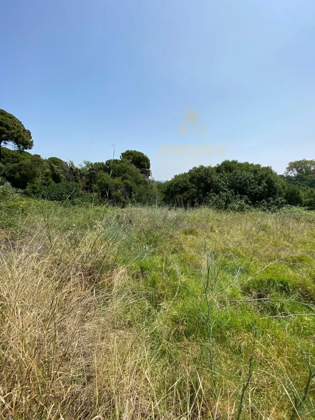 BRILLANTE - Terreno de 6.000 m con construcción en forjado s - foto 3