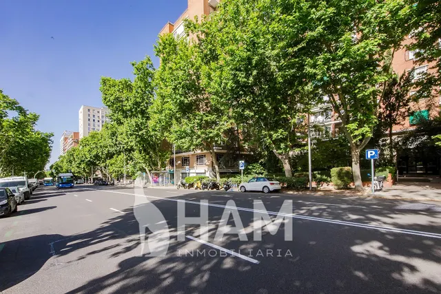 Local de 289 m2 en Padre Damián, Chamartín — 47