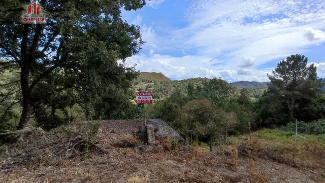FINCA RUSTICA CON GALPON EN LA ZONA DE CASTRO DE BEIRO (AMOE