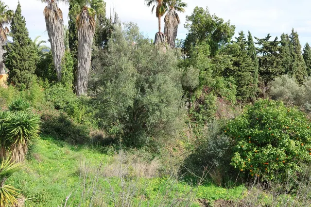 Parcela en venta - Riviera del sol — 7