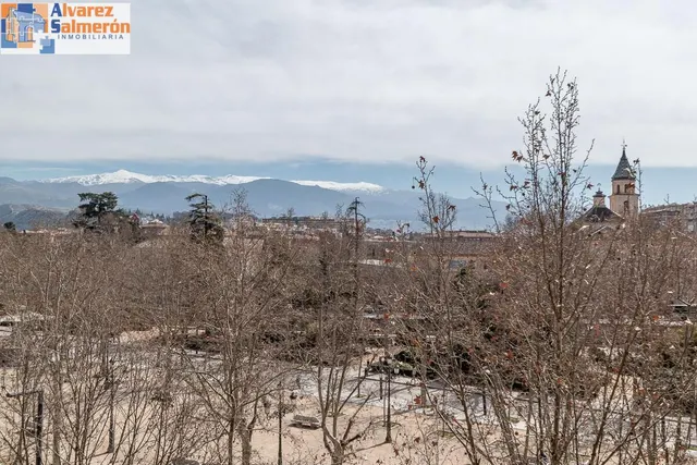 Piso con vistas a Sierra Nevada en Paseo del Salón. — 29