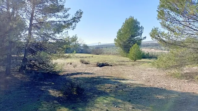 Terreno para uso terciario en Montilla — 6