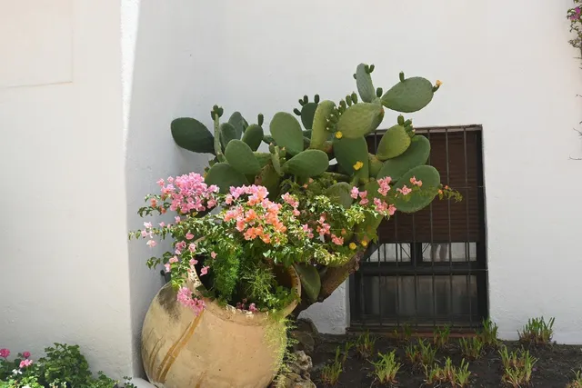 Apartamento 2 habitaciones 96m² en venta - Marbella — 10