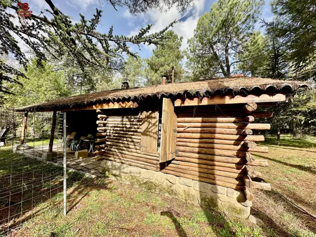 Terreno de 10.117m2 con vivienda de 75m2 rodeado de un precioso bosque — 6