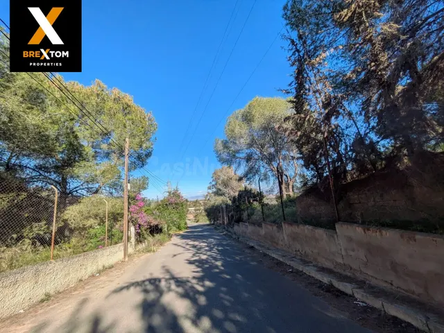 PARCELA URBANIZABLE DISEMINADOS FICA PERTIGUEROS-EL PALMAR - foto 3